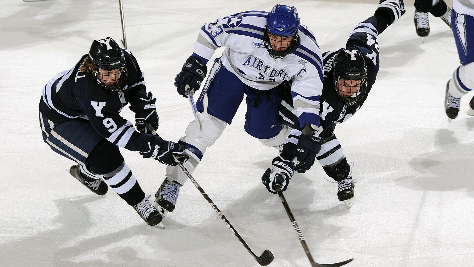 体育公益携手同行，爱心传递温暖人心