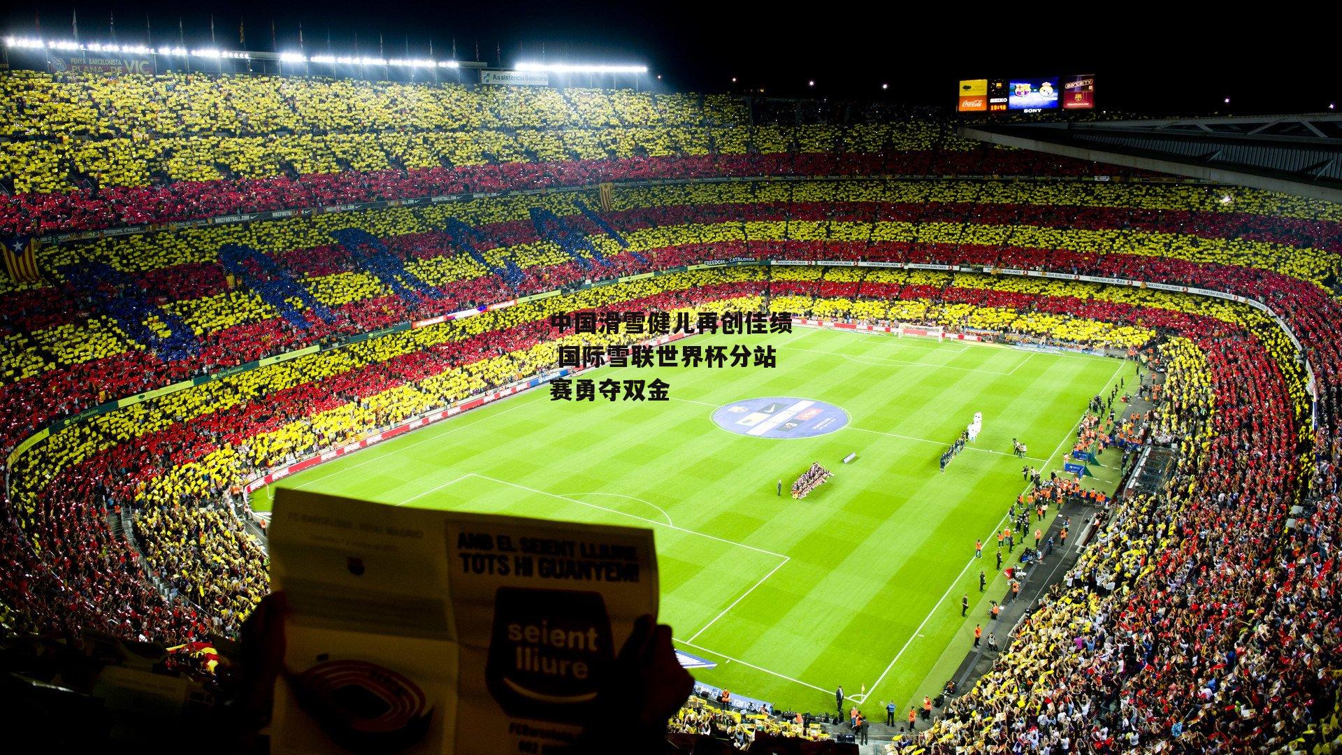 中国滑雪健儿再创佳绩 国际雪联世界杯分站赛勇夺双金