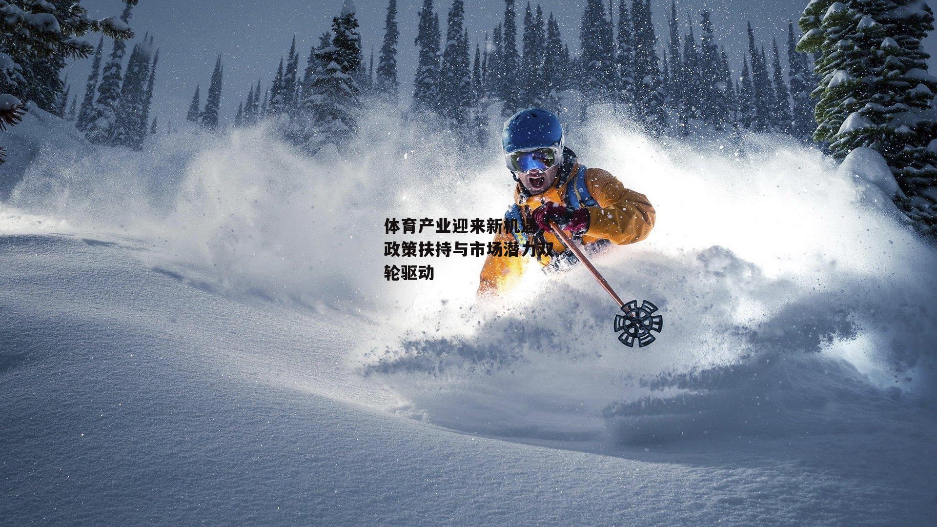 体育产业迎来新机遇，政策扶持与市场潜力双轮驱动