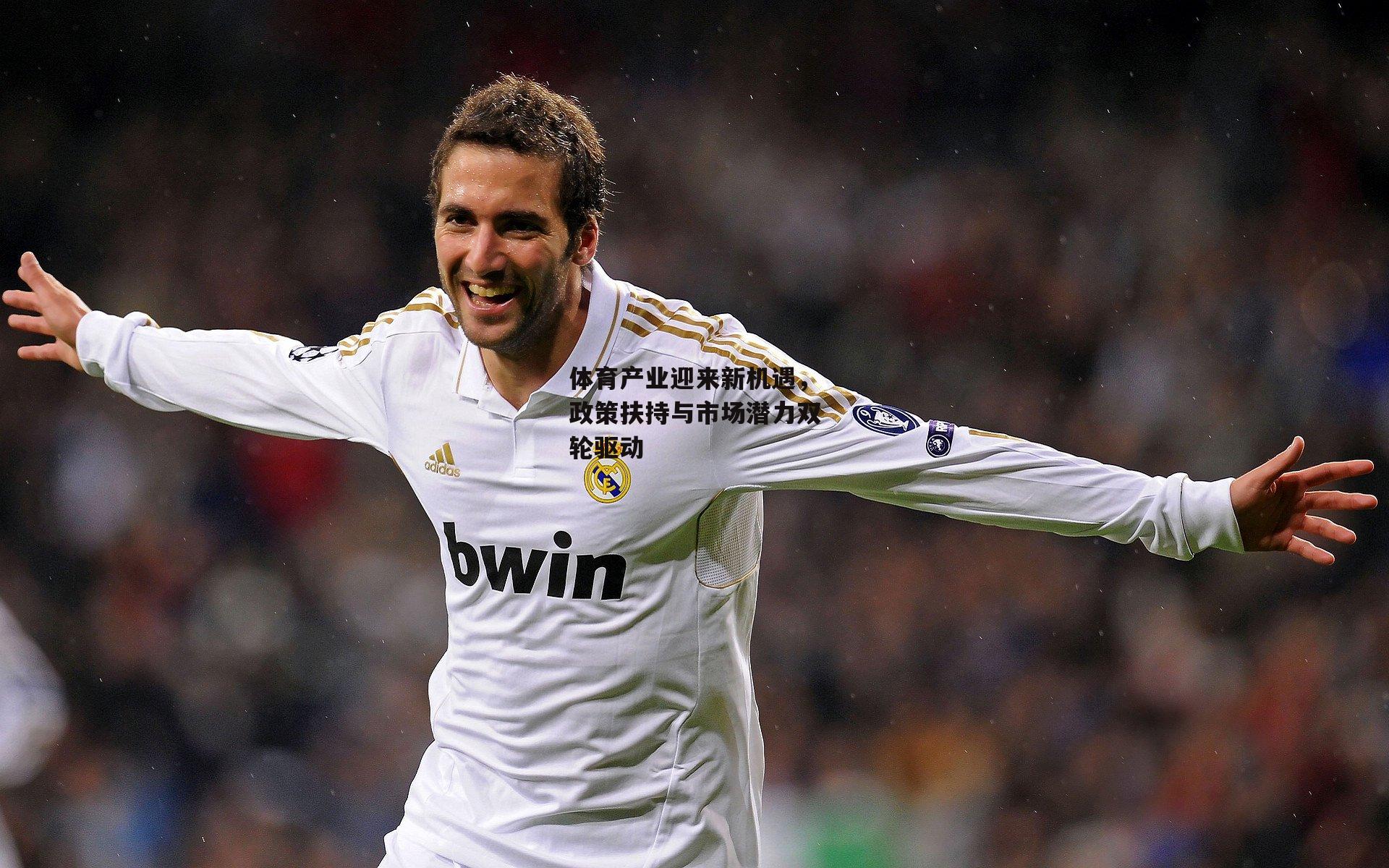 体育产业迎来新机遇，政策扶持与市场潜力双轮驱动